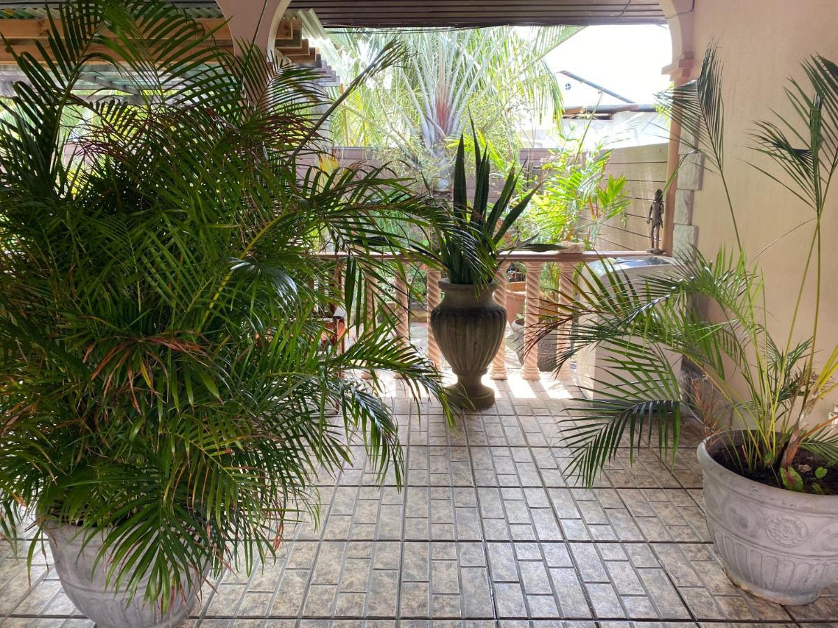 Effie Mountain View Gecko Villa Misere Exterior photo