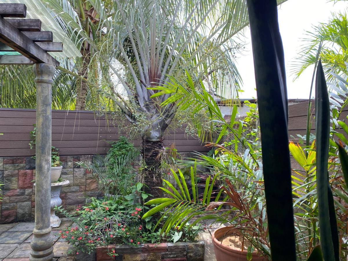 Effie Mountain View Gecko Villa Misere Exterior photo